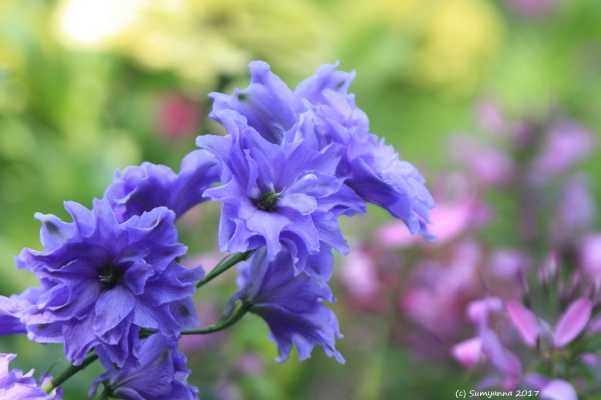 Because I Don’t Have a Photographic Memory (Part&nbsp;#25)