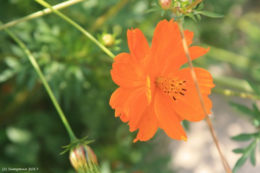 Because I Don’t Have a Photographic Memory (Part&nbsp;#24)