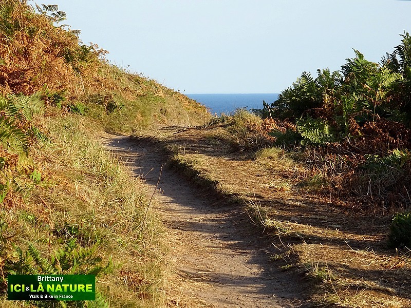 42-walk-coast-path-brittany-gr-34