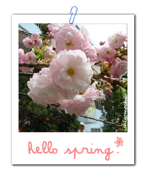 Weekly Spell Casting March 20 – March 26, 2017