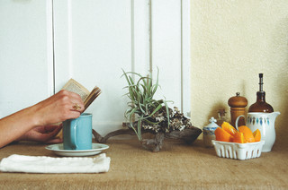 10 Nontoxic, Pet-Safe&nbsp;Houseplants