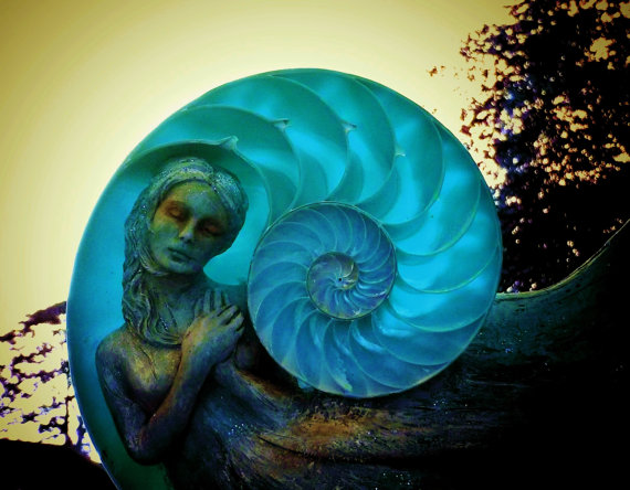 Debra Bernier: Driftwood sculptures honouring our connection with&nbsp;nature