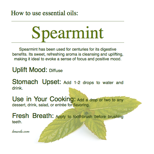 How to Use Essential&nbsp;Oils