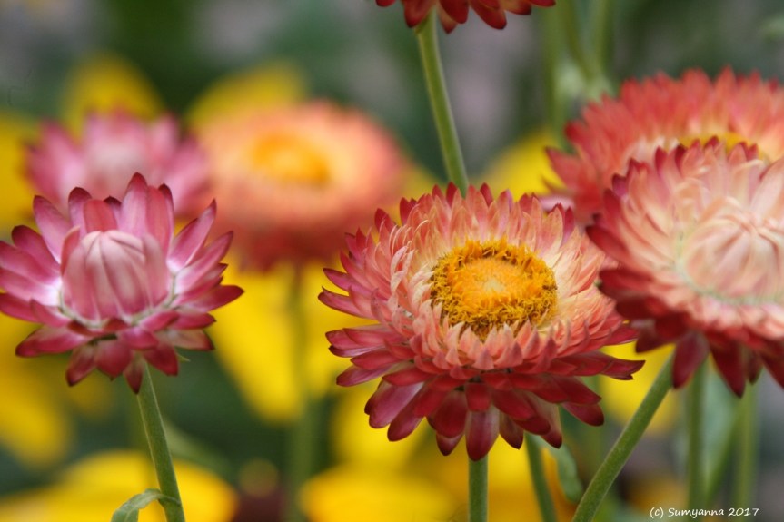 Because I Don’t Have a Photographic Memory (Part&nbsp;#28)