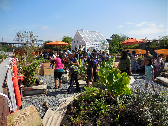 Swale: New York’s floating food forest to welcome visitors on board again for the&nbsp;season