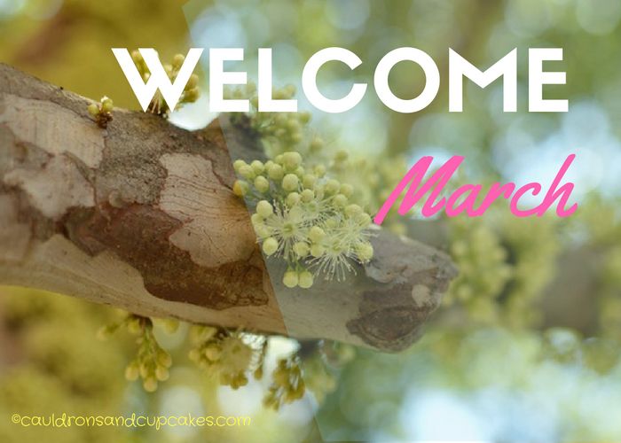 The Energies of March –&nbsp;2017