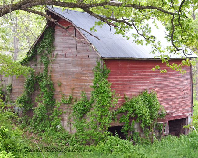 At the Wall Gallery and on The Radio — Meet Kirt and&nbsp;Hank