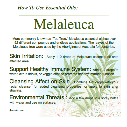 How to Use Melaleuca Essential&nbsp;Oil