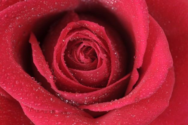 Circle of Flame Bath&nbsp;Salts