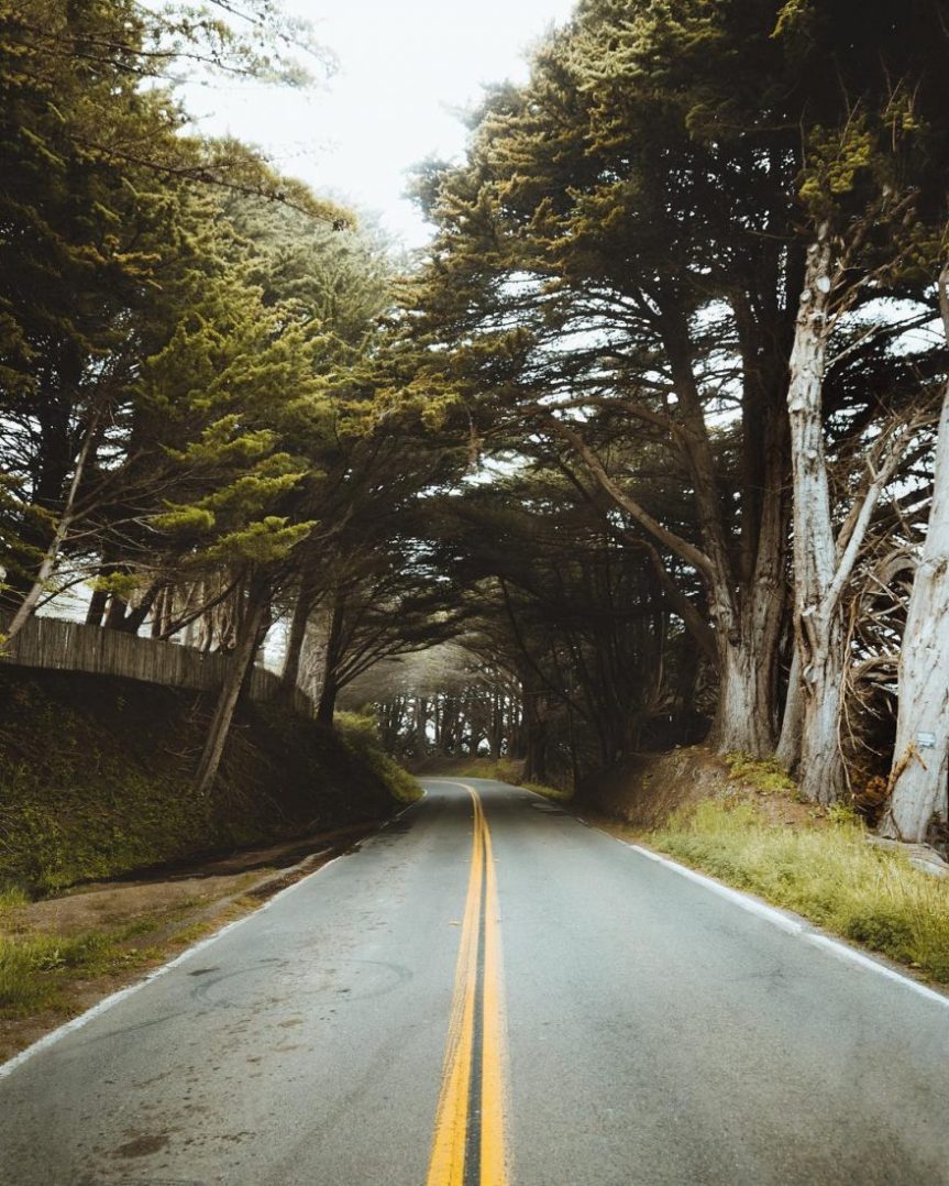 Carlos-Lazarini3-880x1100