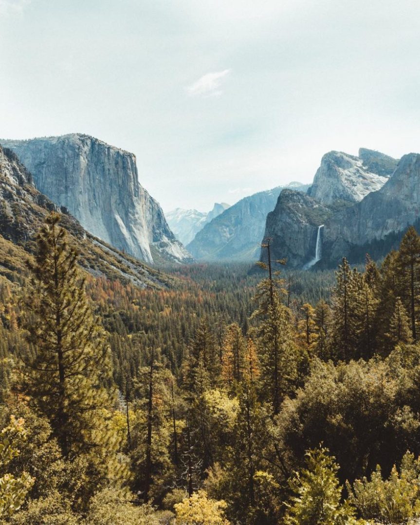 Carlos-Lazarini4-880x1100