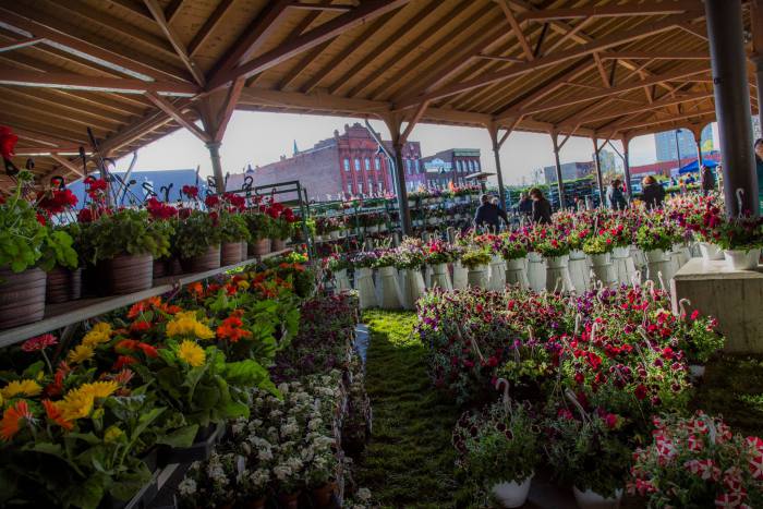 FLOWERMAGHEDDEON: FLOWER DAY MAY 21, 2017 AT EASTERN&nbsp;MARKET