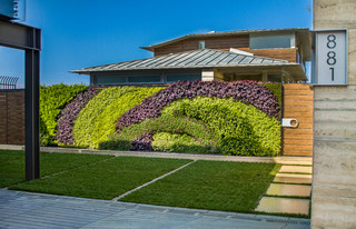 Double Take: A Living Mural in&nbsp;California