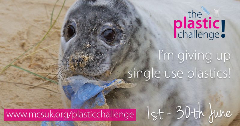 The Plastic Challenge: Go single-use plastics-free this&nbsp;June