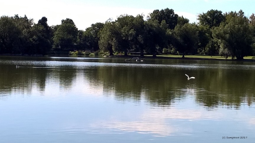 WP_20160912_09_59_34_Pro (2)