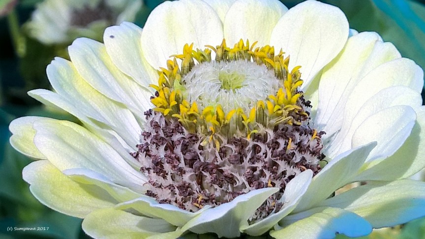 WP_20160912_11_03_38_Pro (2)