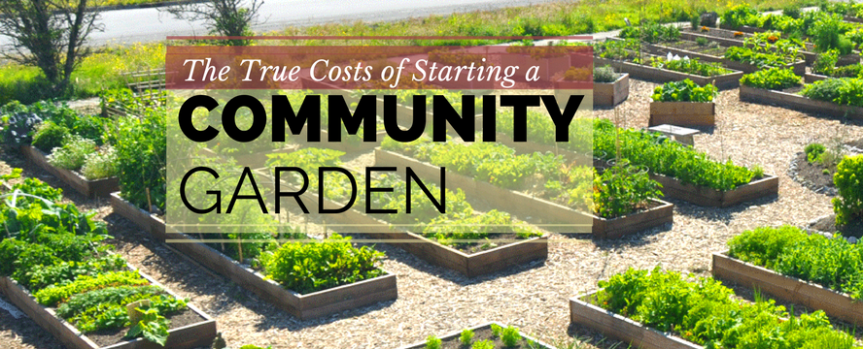 GUEST POST: The True Costs of Starting a Community Garden —&nbsp;ecogreenlove