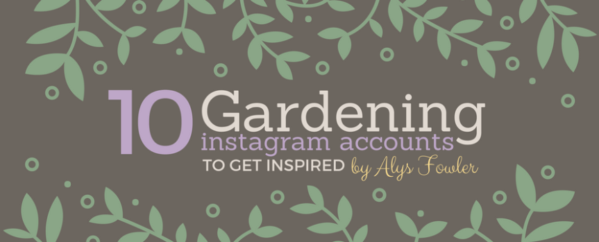 Best IG accounts for Gardeners [Infographic] —&nbsp;ecogreenlove