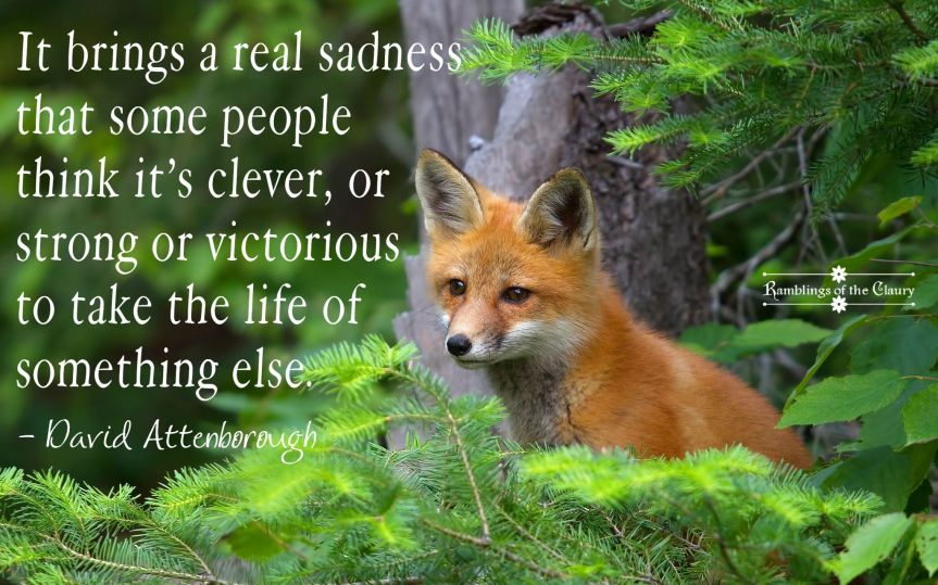 Sad Times — Ramblings of the&nbsp;Claury