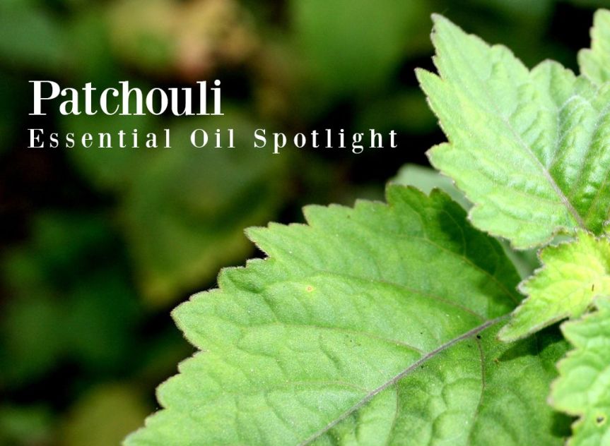 Patchouli Essential Oil — Good Witches&nbsp;Homestead