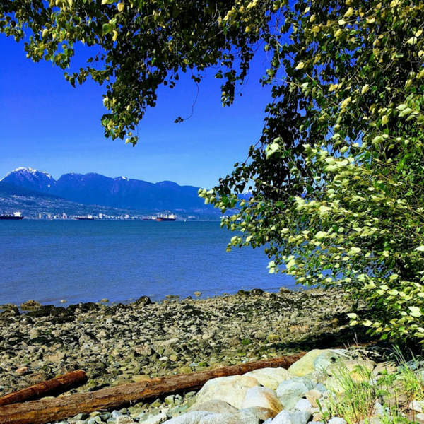 WordPress Graphics 600 x 600