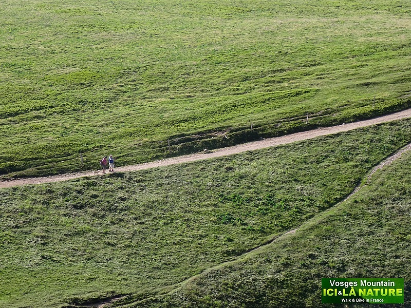 16-holidays nature france vosges