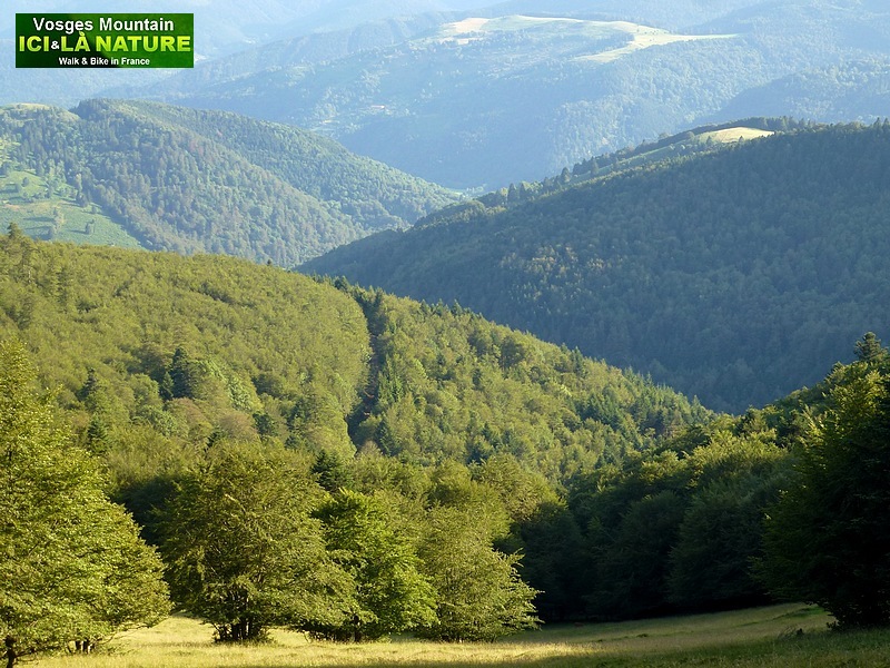 25-panorama ballons vosges