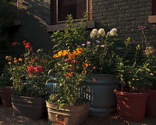 Enjoy Your Summer Garden — Here’s What to Do in&nbsp;July