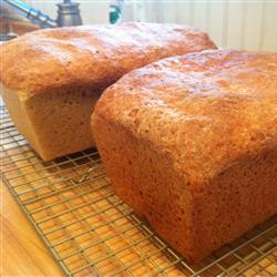 Honey Wheat Bread