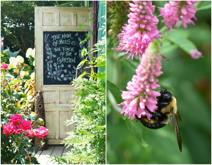 The Hum of Bees is the Voice of the&nbsp;Garden