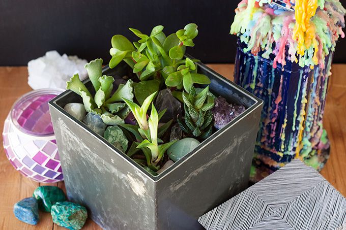 DIY: Mini Crystal Succulent&nbsp;Garden