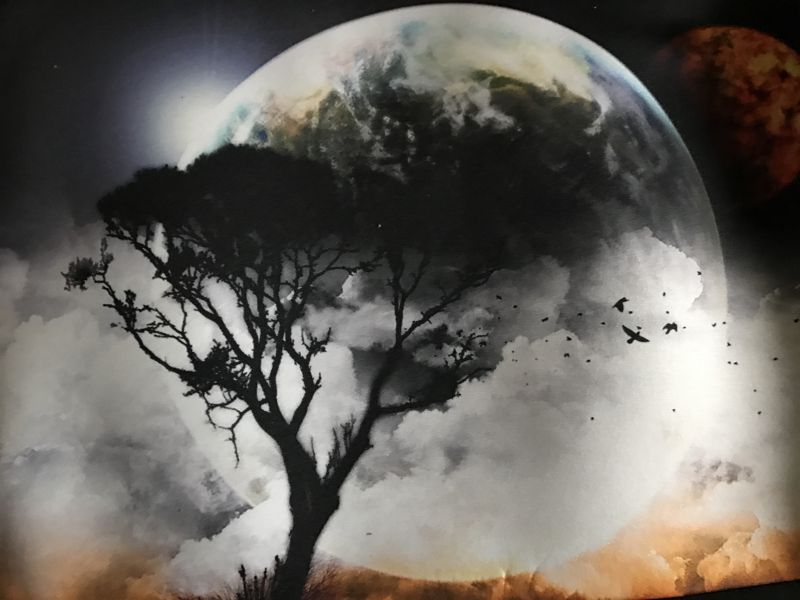 Weekly Tarot Guidance for the week of August 28 through September 3, 2017 — Tarot by&nbsp;Cecelia