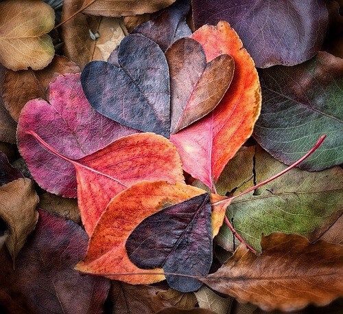 Love and Finance Tarot Guidance for September, 2017 — Tarot by&nbsp;Cecelia