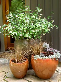 12 Ideas From Stunning Fall&nbsp;Gardens