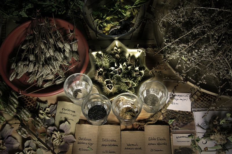 A Herbalist’s Guide to a Healthy Fall and&nbsp;Winter