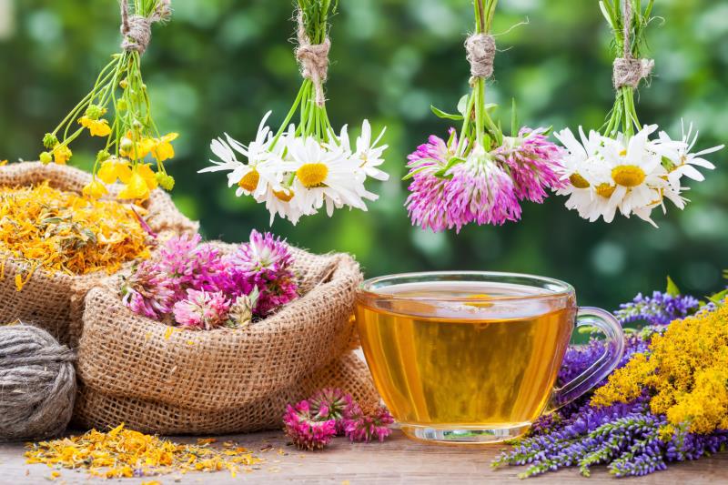 Fall Allergies ~ An Herbal&nbsp;Approach