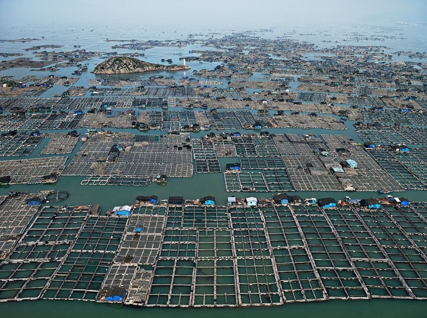 THE FLOATING FISH FARMS OF&nbsp;CHINA