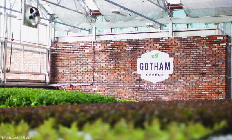 Gotham Greens: Greening up urban rooftops with sustainable leafy&nbsp;greens