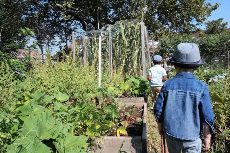 Grow to Learn: Over half of public schools in NYC now have a sustainable school garden — Life & Soul&nbsp;Magazine