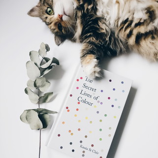 Pet’s Place: Cat, Dog and Extended Family All Under One&nbsp;Roof