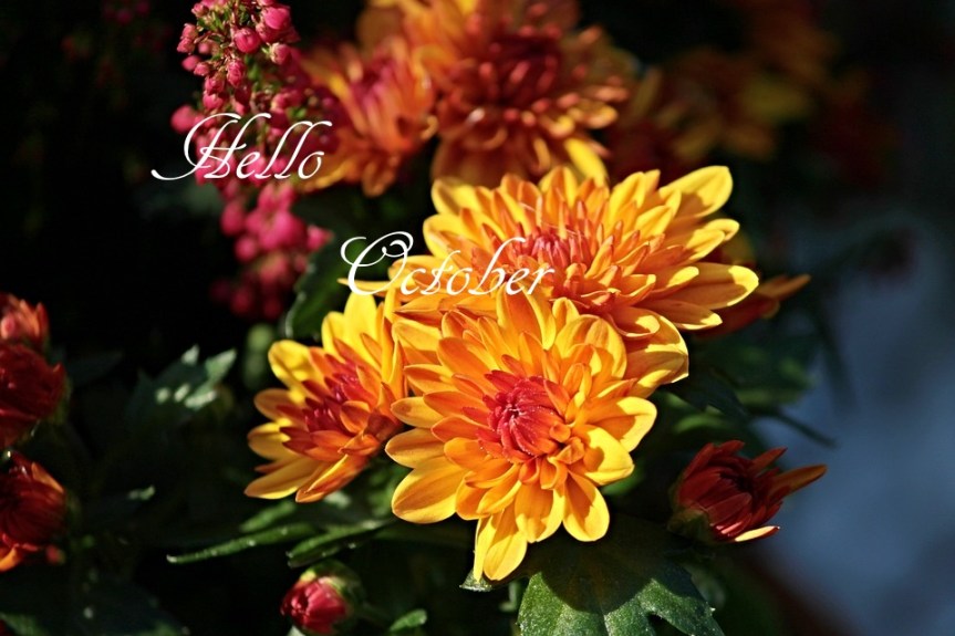 Weekly Spell Casting October 2 – October 8, 2017