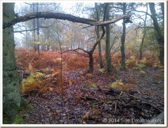 Samhain’s Perfect Gift.