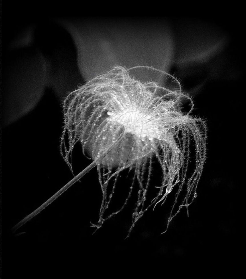 Weekly Tarot Guidance for the week of November 20 through 26, 2017 — Tarot by&nbsp;Cecelia