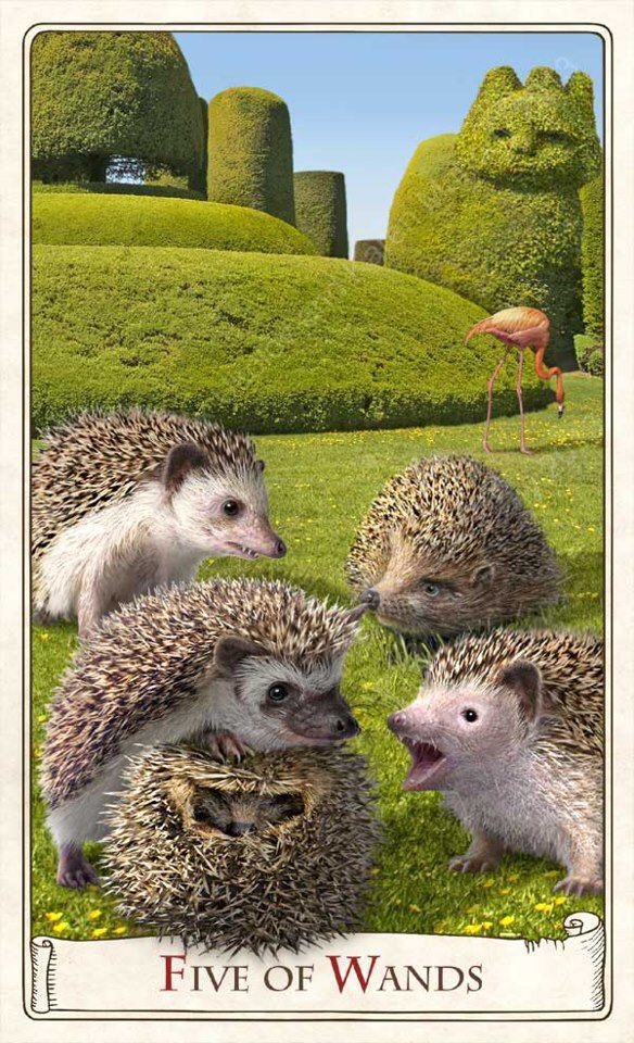 Card of the Day – 5 of Wands – Saturday, November 18, 2017 — Tarot by&nbsp;Cecelia