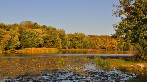 Take a Last Leaf-Peeping Trip With These 25 Postcards of&nbsp;Fall