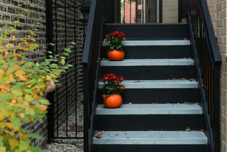 Photo Tour: Chicago Neighborhoods Dress Up for&nbsp;Fall