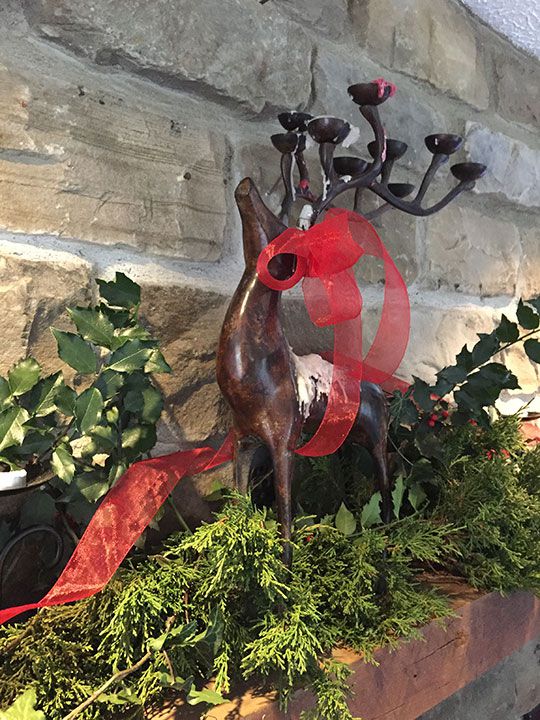 Wildcrafted Winter Solstice Decorations With Conifers, Holly, Ivy, Bittersweet, And&nbsp;Mor