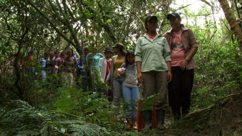 Daughters of the Forest: When girls become guardians of their environment — Life & Soul&nbsp;Magazine