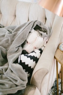 Pet’s Place: Life With a Big Slurpy&nbsp;Dog