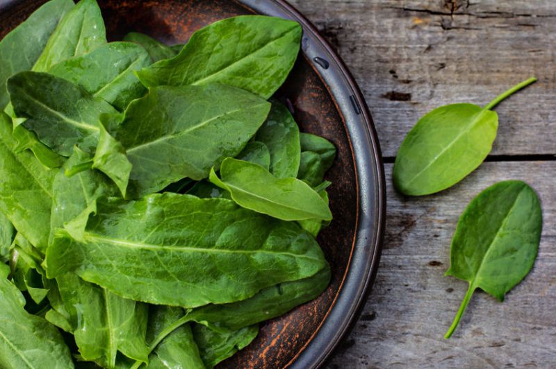 Food As Medicine:&nbsp;Sorrel